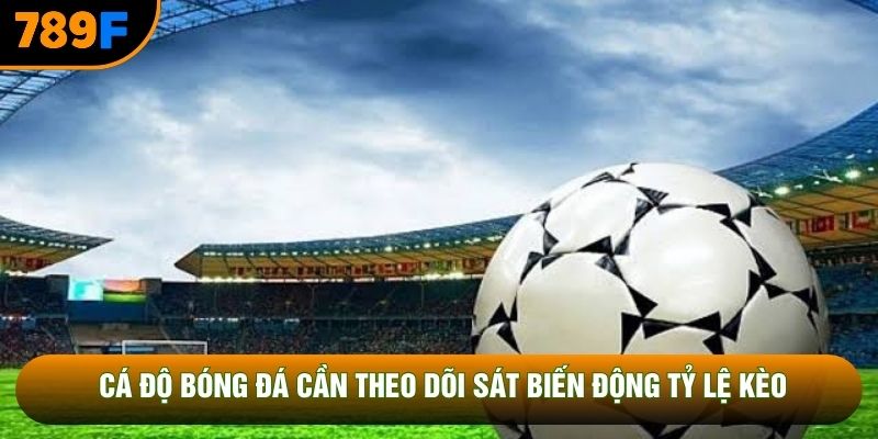 Cá độ bóng đá cần theo dõi sát biến động tỷ lệ kèo