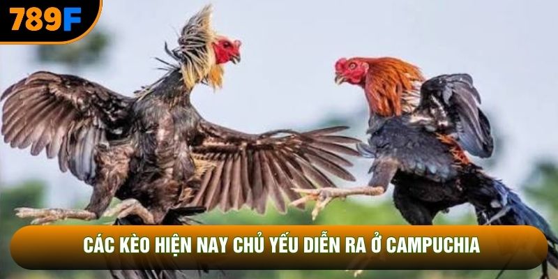 Các kèo hiện nay chủ yếu diễn ra ở Campuchia