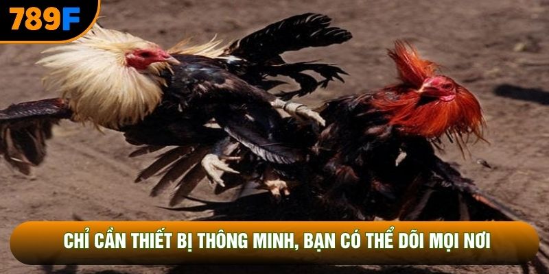 Chỉ cần thiết bị thông minh, bạn có thể dõi mọi nơi