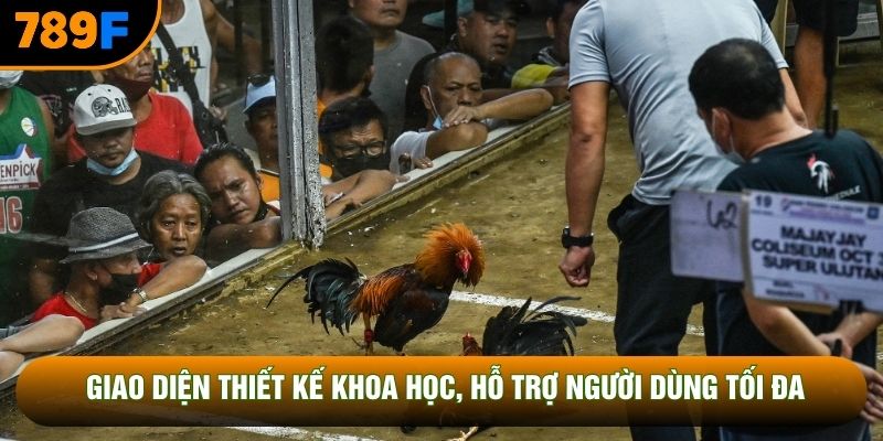 Giao diện thiết kế khoa học, hỗ trợ người dùng tối đa