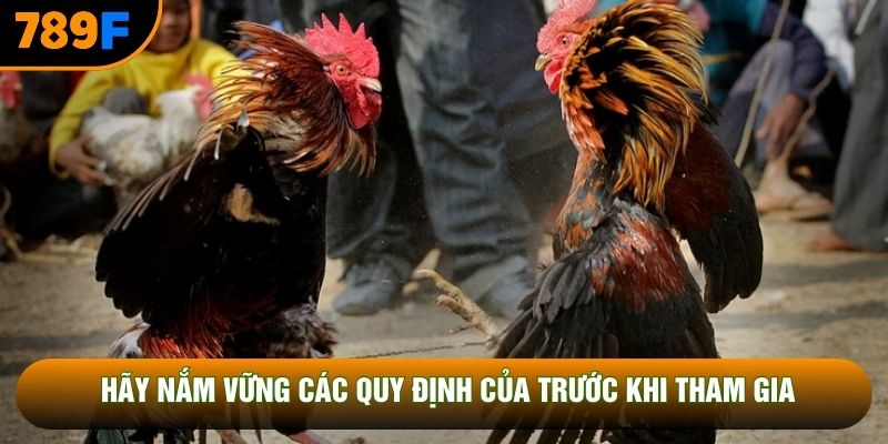 Hãy nắm vững các quy định của trước khi tham gia