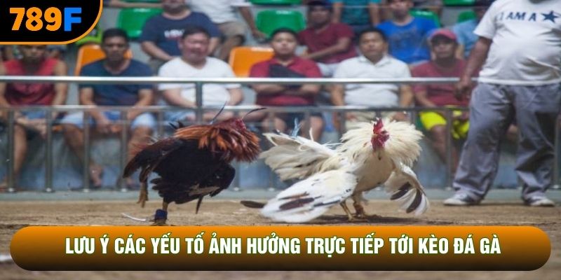 Lưu ý các yếu tố ảnh hưởng trực tiếp tới kèo đá gà