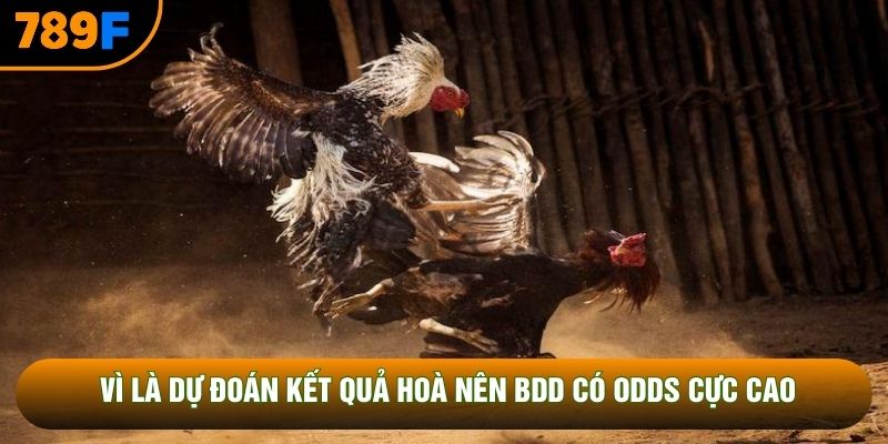 Vì là dự đoán kết quả hoà nên BDD có Odds cực cao
